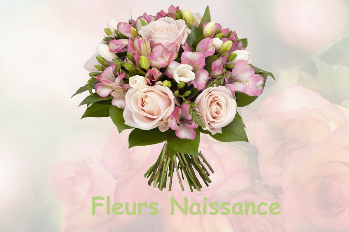 fleurs naissance LA-BOISSIERE-D-ANS