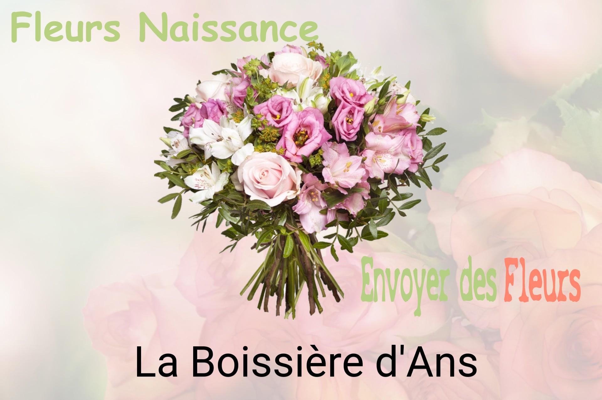 Bouquet de fleurs de naissance livré à La Boissière-d'Ans